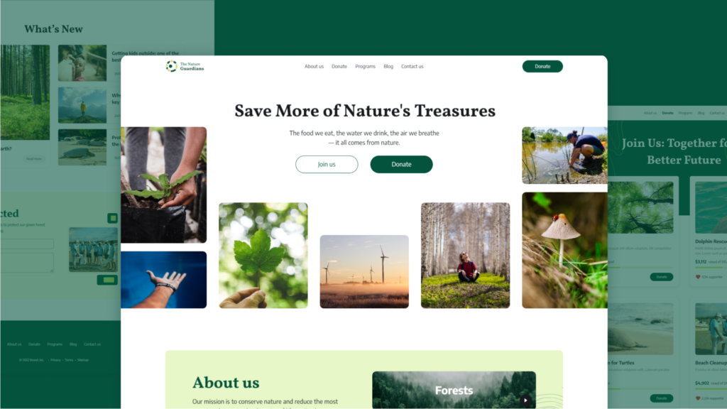 Environmental NGO Website